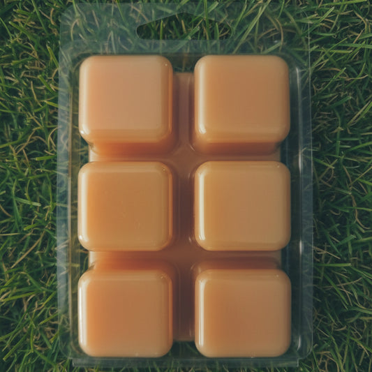 Bundle of 3 Pumpkin Pie Scented Wax Melts | Hand-Poured Coconut & Beeswax | Fall Home Fragrance